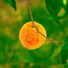 In A Flash Of The Moment