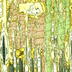 The Mind Shop Immersions 1
