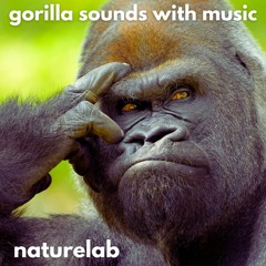 Gorilla Sounds With Music