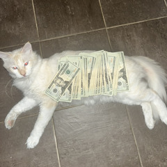 skniod (prod. bryxt)