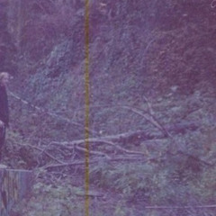 amitié et sympathie - i hope i stay