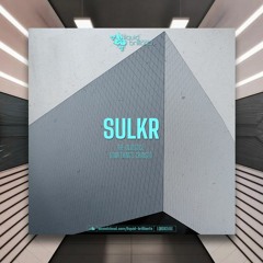 Sulkr - Something's Changed [Liquid Brilliants] PREMIERE