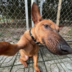 BÌNH DƯƠNG VÔ TẬN 2 - MINH TÂM.WAV