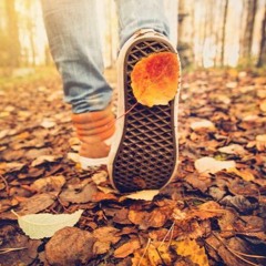 MORCO & BARCO- Autumn Set 26.11.20