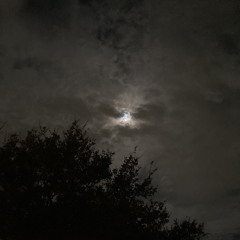 vampire at night