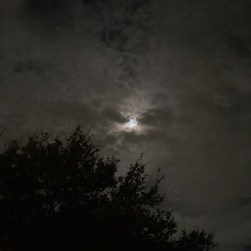 vampire at night