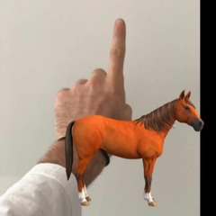 fallingwater (maggie rogers cover) [Horse Remix]