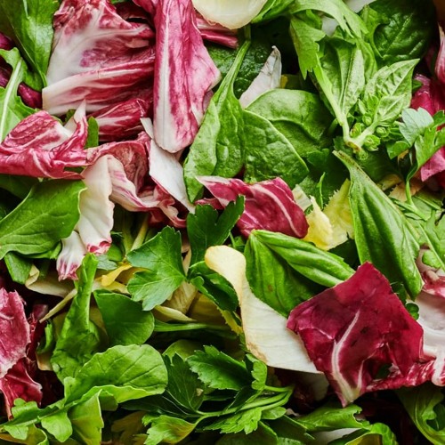 spring mix 2022