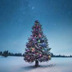 Merry Christmas from All of Us