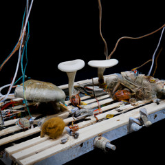 RE:SEQUENCING