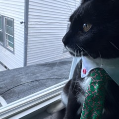 memories @idiot @mjkzy