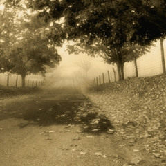 Can't Help Falling In Love