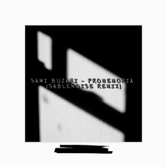 Sami Buzani - Promemoria (Sablenoise Remix)