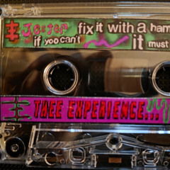 JESTER (aka Rock Bottom) - If You Cant Fix It With A Hammer It Must Be Broken - A- Thee Experience   1998