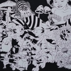 schizo visuals