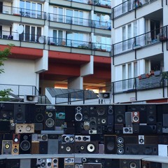 Cj Dames - Excursion to the Roots