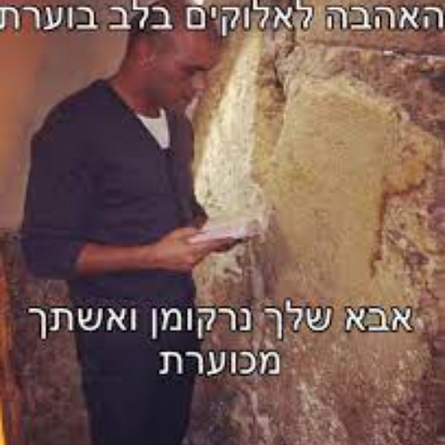 האהבהלאלוקיםבלבבוערת8אבאשךנרקומןואשתךמכוערת( ˘︹˘ )