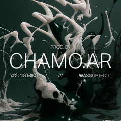 Chamo (AR) - WSP