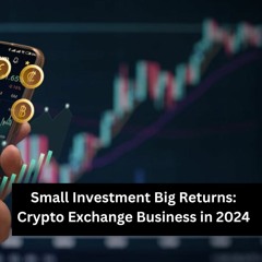 5 Potential Risks And Challenges For Entrepreneurs Starting A Crypto Exchange Business In 2024