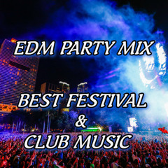 Best Festival Songs & Remixes 2025 | Best EDM Party Mix of Popular Songs
