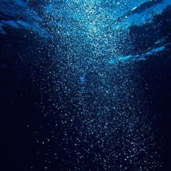 Freestyle Corsaire Vol.1 - Le Renard