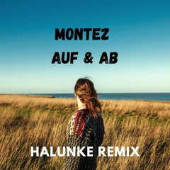 Montez Auf&ab (Halunke Remix )