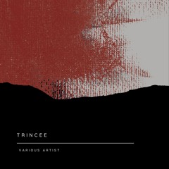 Stirpe999 - Trincee VA x Rough Radio