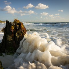 Tides