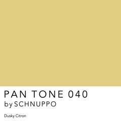 PAN TONE 040 | by SCHNUPPO