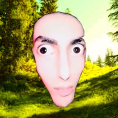 A homeless man laced me outside the Walmart (Forest Music, 11/58)