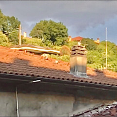 fra ste case di merda ho visto il meglio che c'era di noi