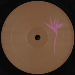 Premiere : Loopdeville - Insomniac 300 (PRP018)