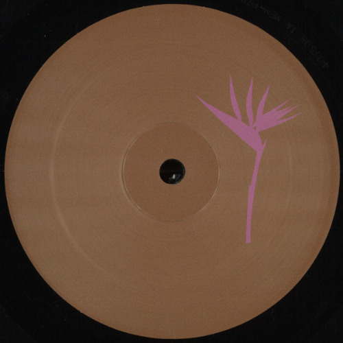 Premiere : Loopdeville - Insomniac 300 (PRP018)