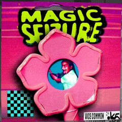 MAGIC SEIZURE