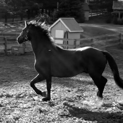 Ride On