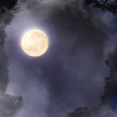 BASS  VRGO Mishell  TOKYO DRILL