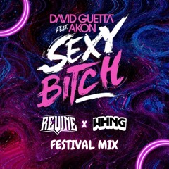 David Guetta Ft Akon - Sexy Bitch (ReVine & WHNG Festival Mix)