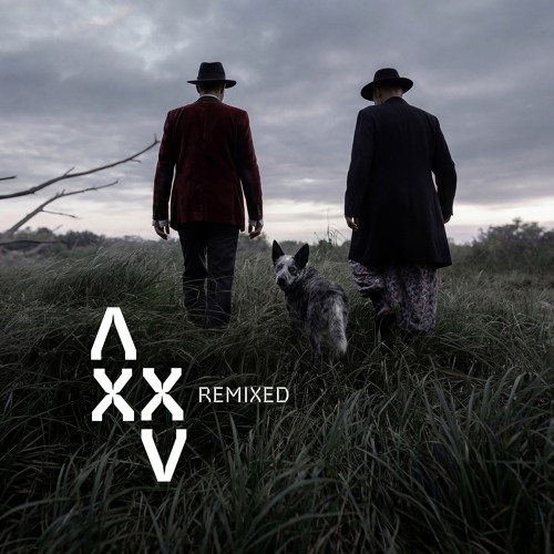 Moses (Funkform remix)
