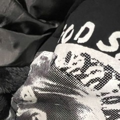Ksiaze700 -  04.11.2023 (snippet)