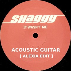 Shaggy - It Wasn't Me [Acoustic guitars Edit]