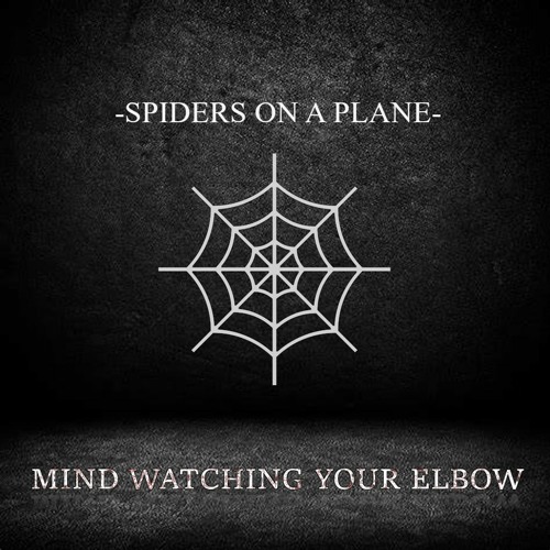 SPIDERS ON A PLANE (Open Collab)(OPEN VERSE)(FREE DOWNLOAD)(READ DESCRIPTION)