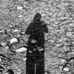 Estados Transitorios