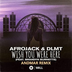 AFROJACK & DLMT - WISHING YOU WERE HERE (Vangard Remix)