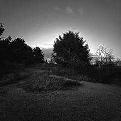 looking for the light (p. blear)