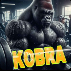 Kobra und seine Crew