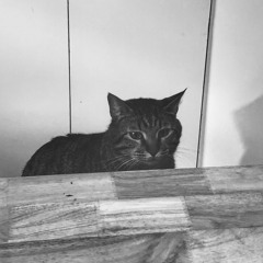 deep lo-fi house to listen to on your weekly trader joe's trip to get more pumpkin oat milk