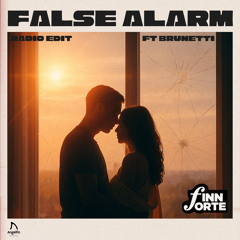 False Alarm (Radio Edit)