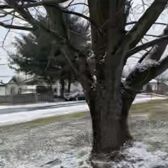 dj cointelpro daddy issues mix