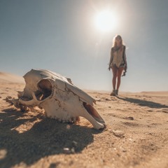 Where deserts end