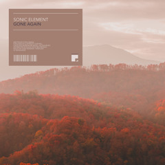 Gone Again (Extended Mix)